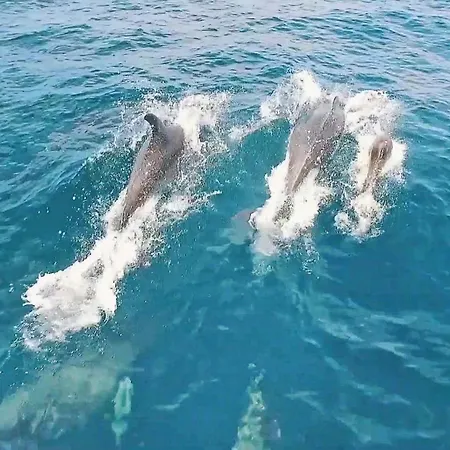 Βίλα Atlas By Algarve Vacation